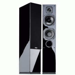 Diva 552 3 way speaker cabinet