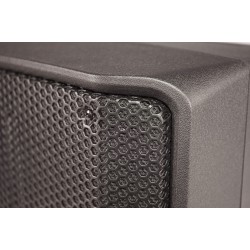 NAXOS15A-DSP 2-way, active, full-range speaker
