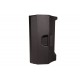 NAXOS15A-DSP 2-way, active, full-range speaker