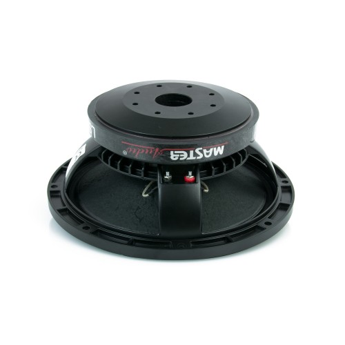 LSN10/8 Professional subwoofer 250 mm, 10-inch