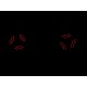 BREAKDANCE Beam Light-Effect, EUROLIGHT LED