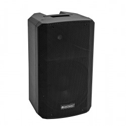 OMNITRONIC VFM-210 MK2 2-way Speaker