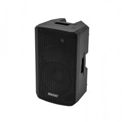 OMNITRONIC VFM-210 MK2 2-way Speaker