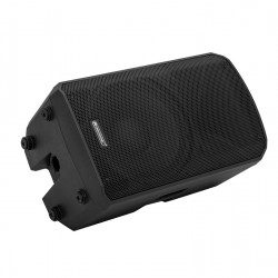 OMNITRONIC VFM-212 MK2 2-way Speaker